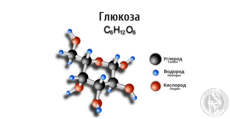 Молекула глюкозы – простейшего из углеводов