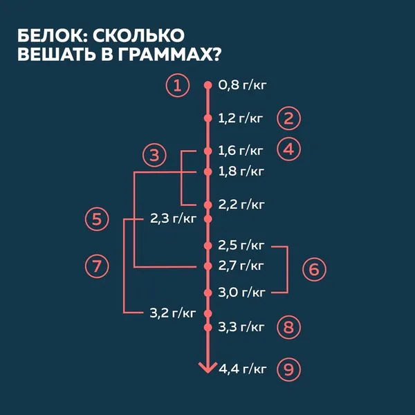 Рекомендации по количеству белка имеют широченный диапазон